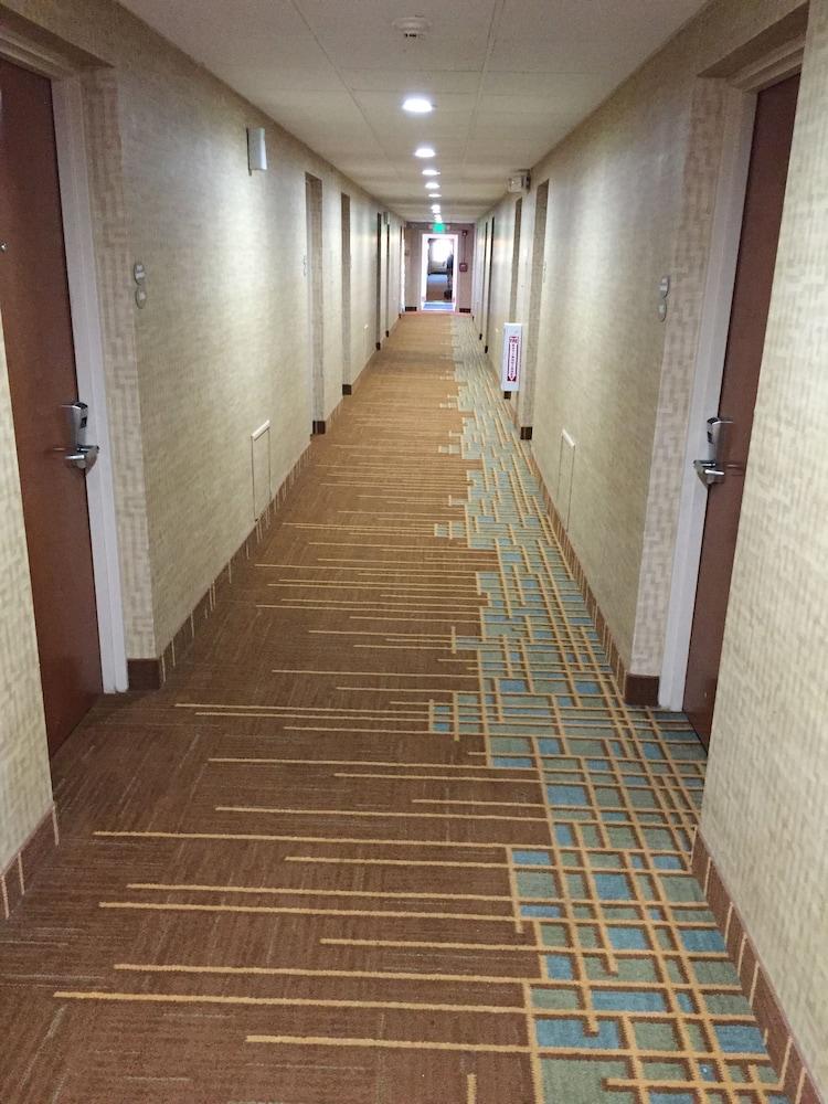 Quality Inn Near Pimlico Racetrack Baltimore Dış mekan fotoğraf